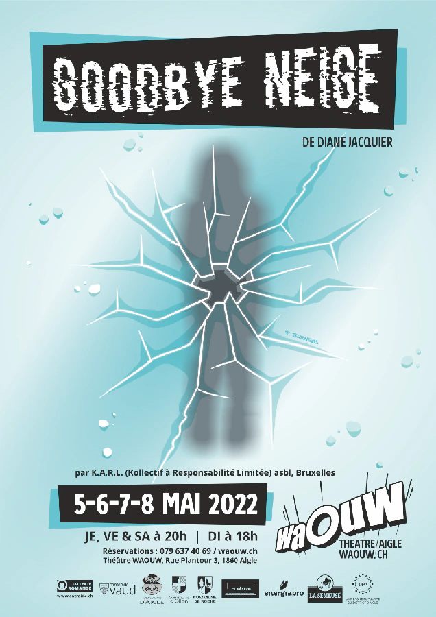 Affiche du spectacle Goodbye Neige
